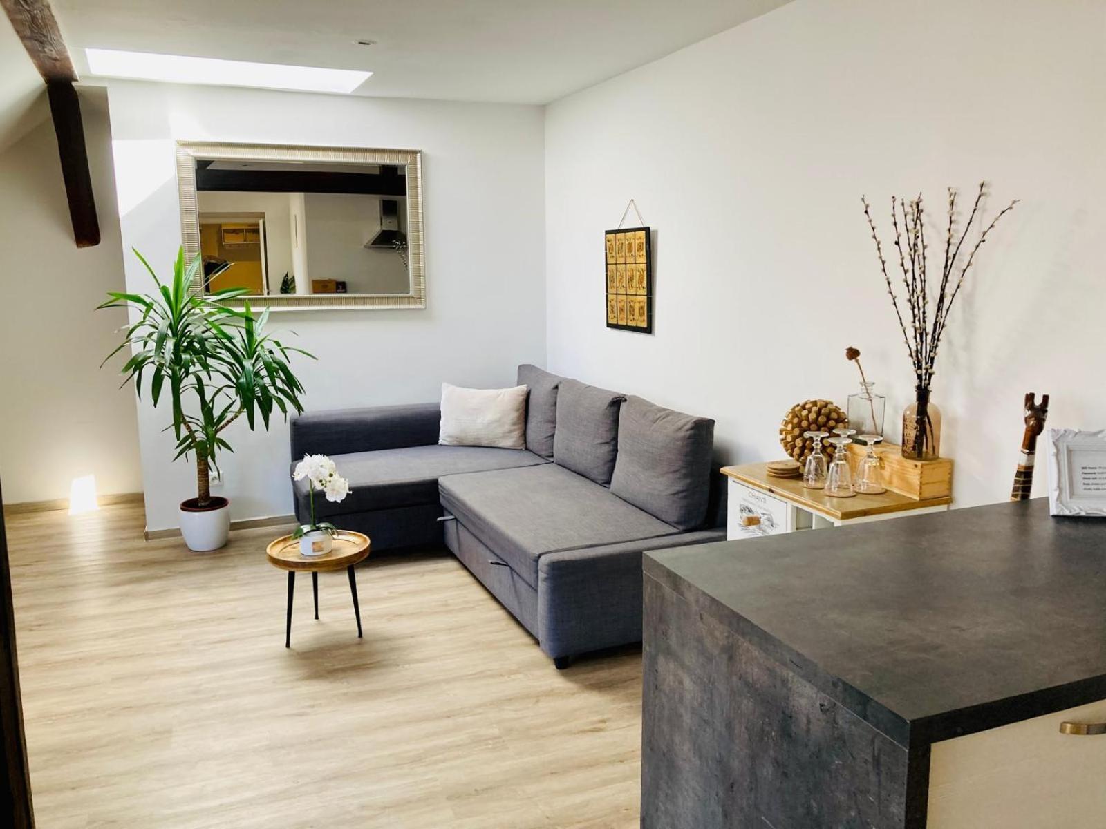 Vip Apartment In Old Town With Free Parking Μπρατισλάβα Εξωτερικό φωτογραφία
